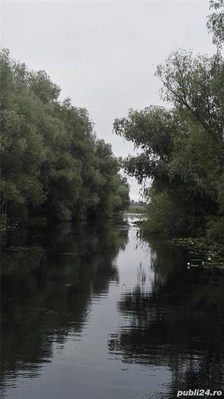 Teren in Delta Dunarii Chilia Veche - 7