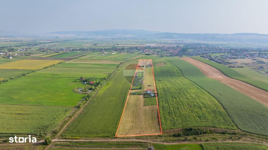 COMISION 0% | 9 parcele | erenuri pentru construc?ia de case Bod - 4