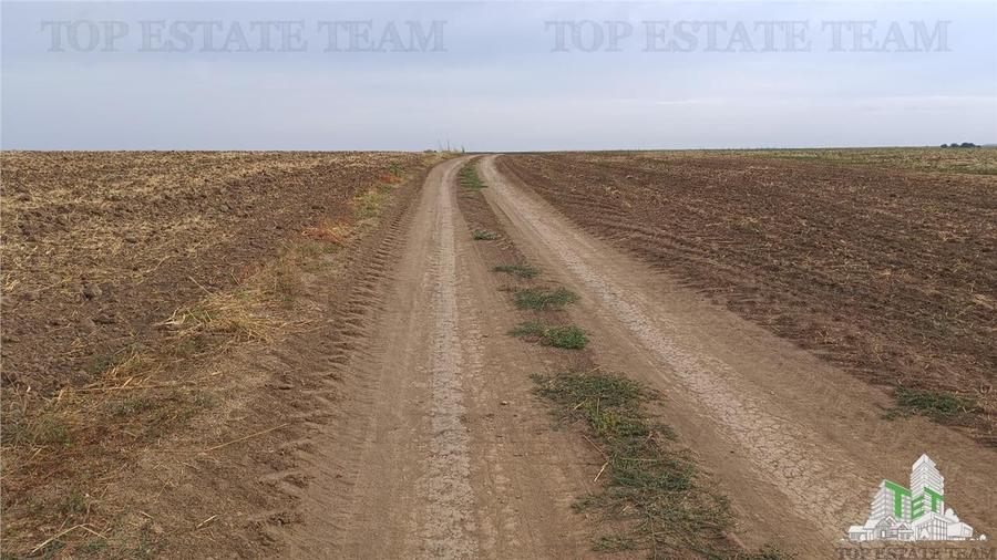 Teren agricol extravilan de 81906 mp, în Petrăchioaia