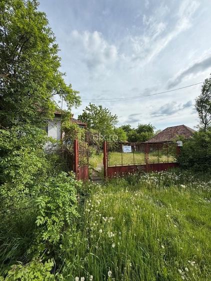 Casa+ Teren 4.825 mp teren in Boju | Utilitati: apa si curent