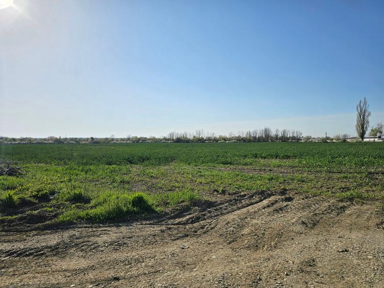 Teren Construcții intravilan de 10100 mp, în Potigrafu
