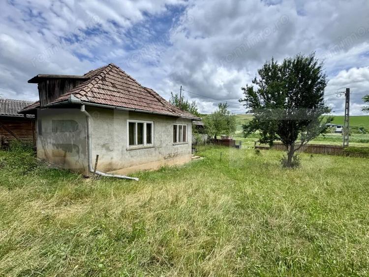 Casă cu Teren 5000 Mp în Drăculea Bandului