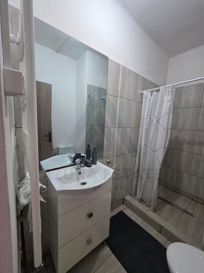 Studio la curte utilat complet cu terasa  zona Lazaret - 14