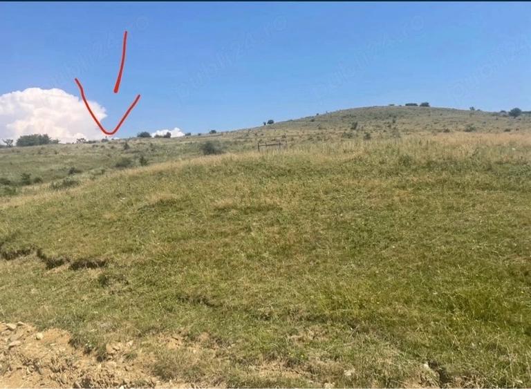 Teren de 1800 mp, în Viișoara