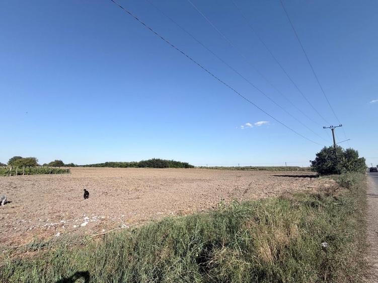 Teren 3.500 mp Gradistea Ilfov | 2.857 mp intravilan | Asfalt | 129.000 - 3