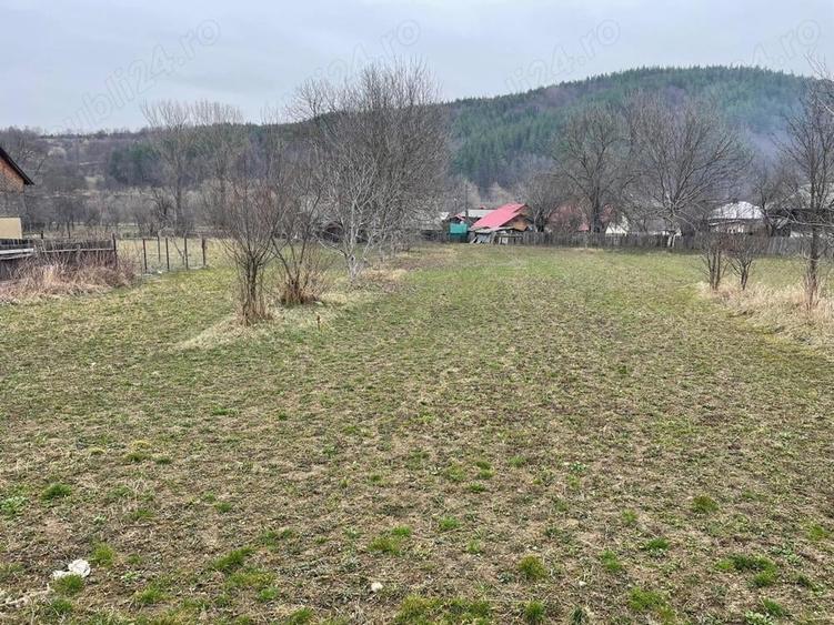 Teren în Câmpuri