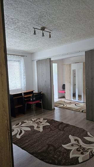 Apartament cu 2 camere nedecomandat, mobilat în Șagului
