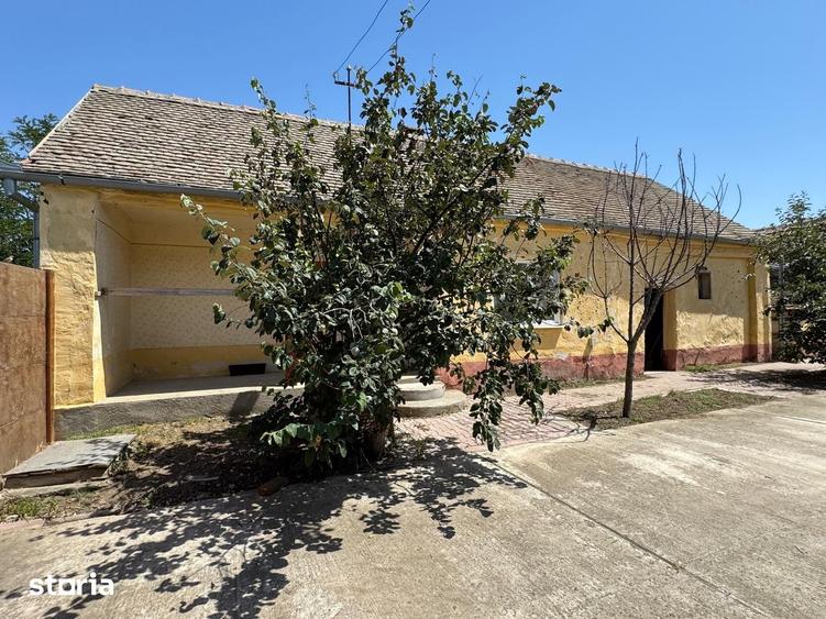 Casă cu 6 camere cu Teren 2271 Mp în Livezile