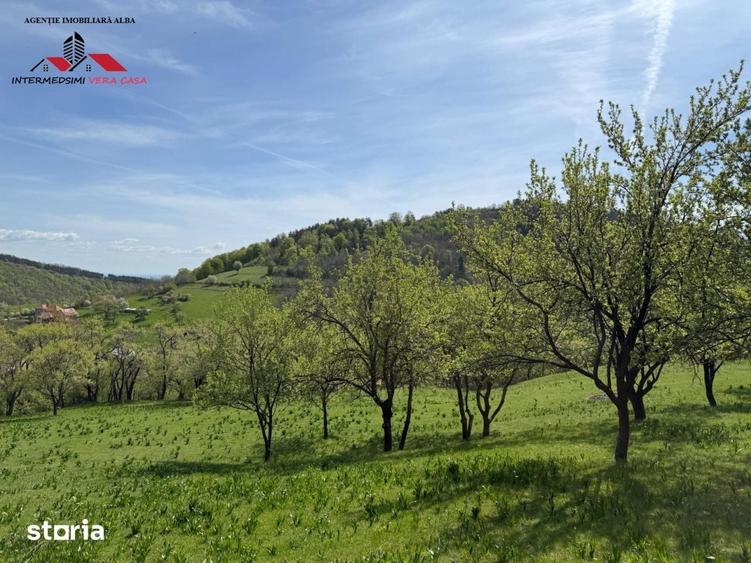 Teren de 8330 mp, în Vințu de Jos