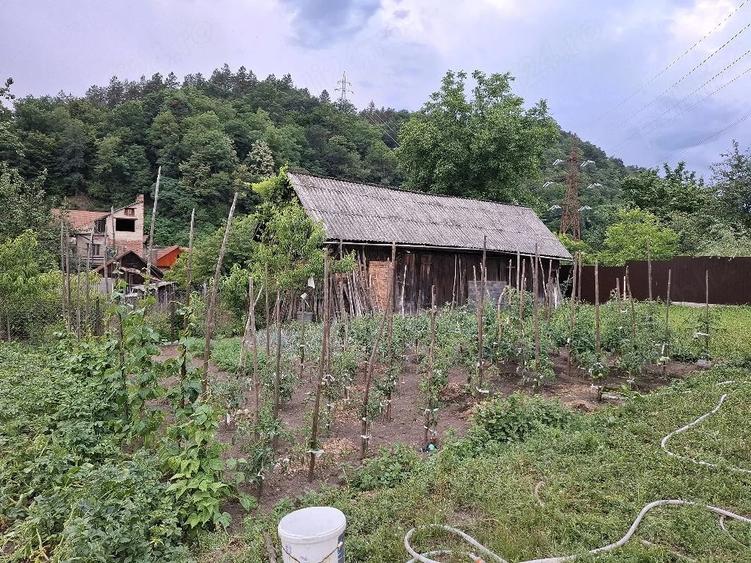 Casă cu 2 camere cu Teren 1541 Mp în Central