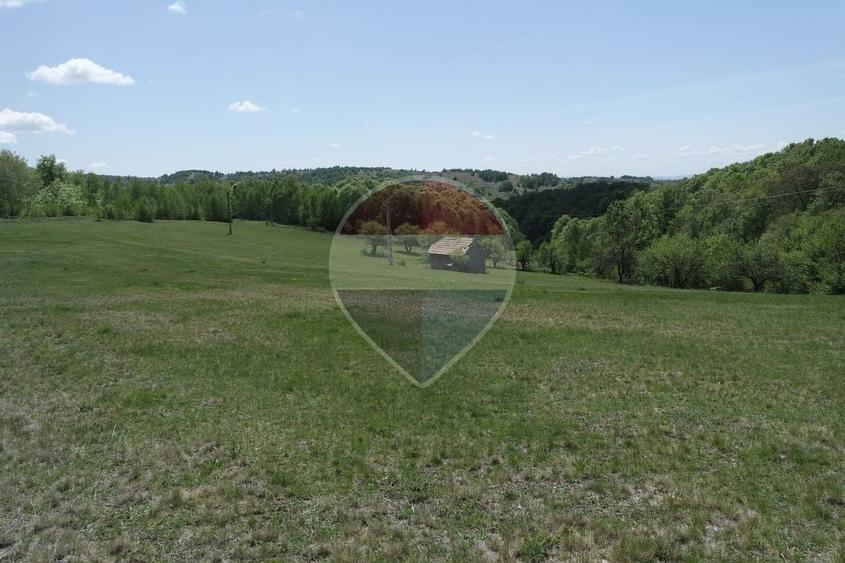 Teren agricol extravilan de 15726 mp, în Preluca Nouă