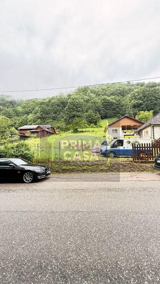 Teren Construcții intravilan de 6200 mp, în Tăuții-Măgherăuș