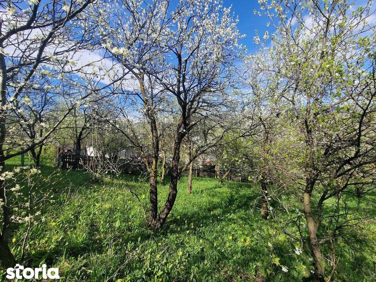 Teren de 1000 mp, în Ghioșești