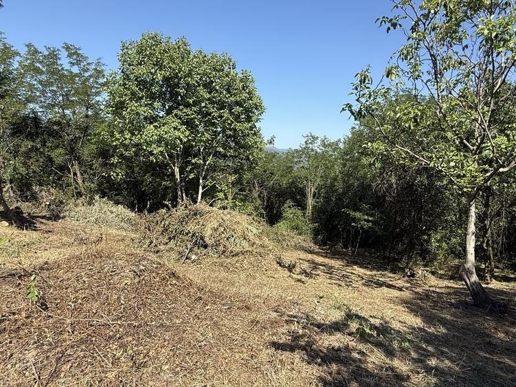 Teren de 1000 mp, în Pănătău