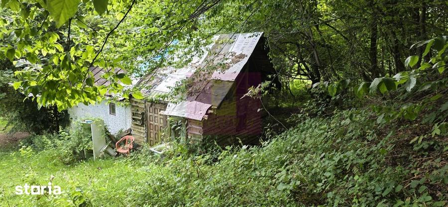 Teren de 15000 mp, în Telega