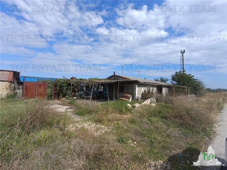 Teren agricol extravilan de 5000 mp, în Exterior Sud