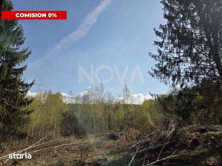 Teren de 4900 mp, în Viștea