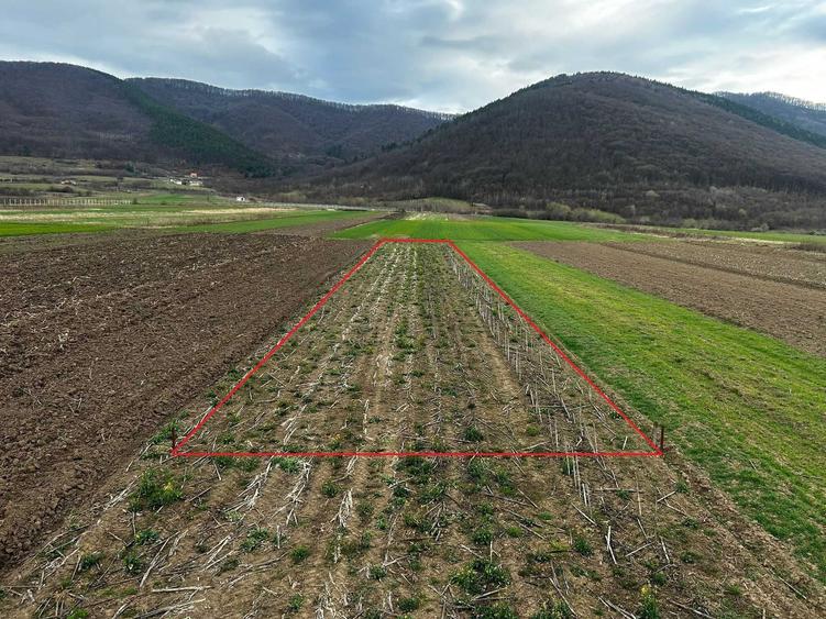 Teren de 900 mp, în Poplaca