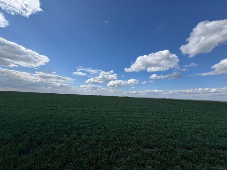 Teren agricol extravilan de 17700 mp, în Biharia