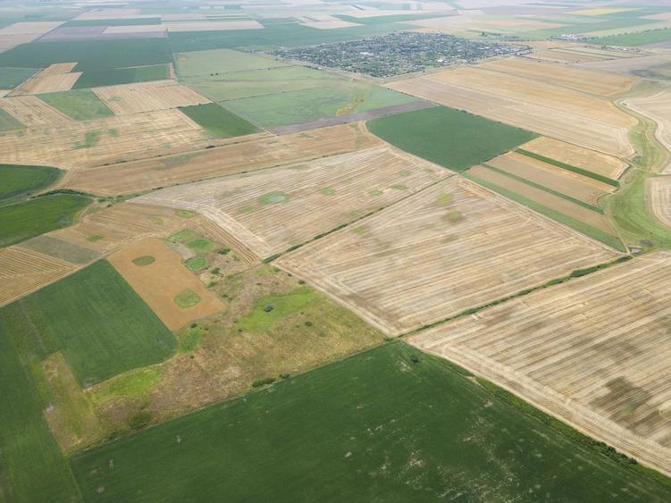 Teren de 400000 mp, în Zărand