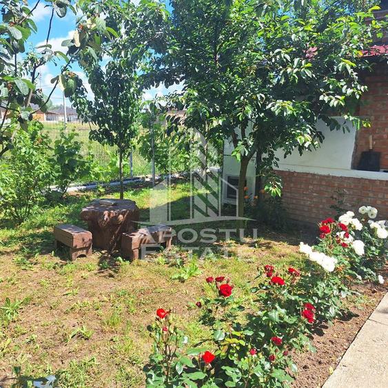 Casa individuala in Ianova,Comuna Remetea Mare - 15