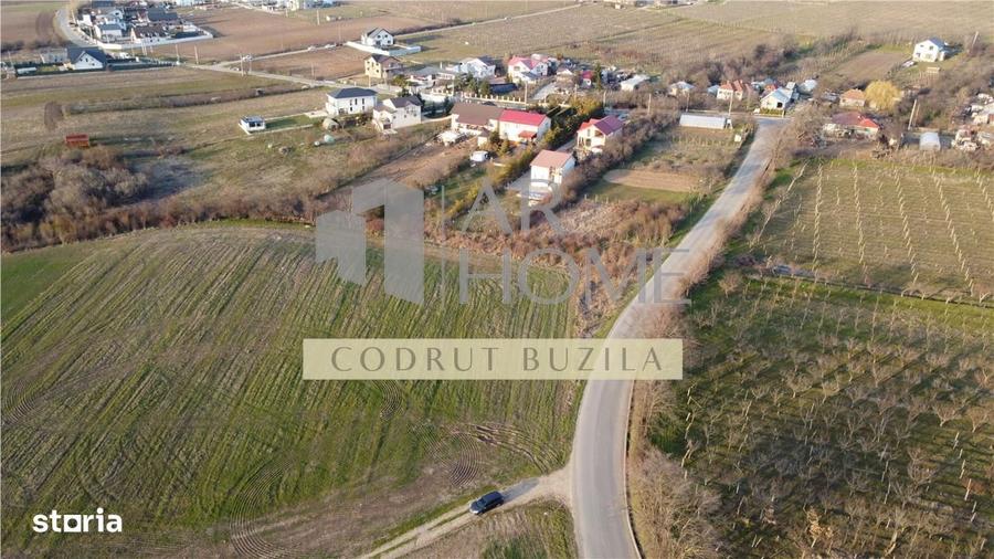 Teren intravilan 2500mp, Bucov - 5