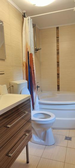 Apartament cu 2 camere decomandat în Dosu Bricii