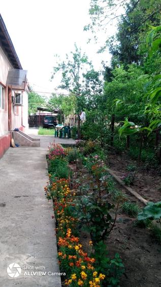 Casă cu 3 camere în Țânțăreni