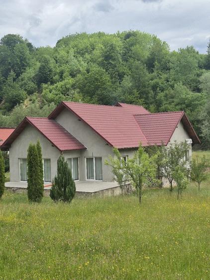 Casă cu Teren 6000 Mp în Târlișua