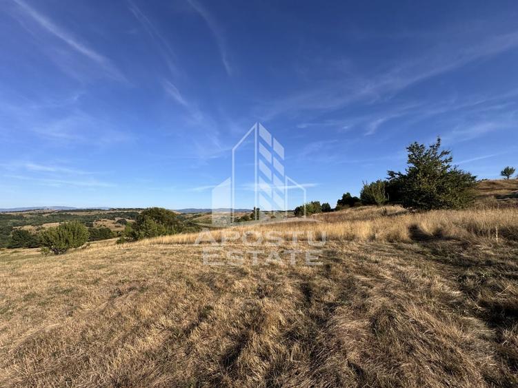 Teren agricol extravilan de 50000 mp, în Izvoarele