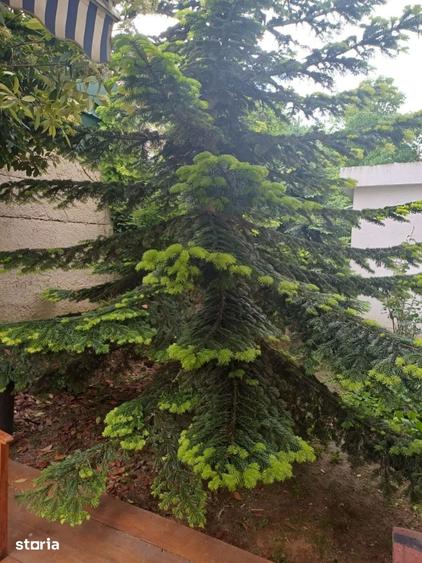 Apartament cu 2 camere semidecomandat în Istria