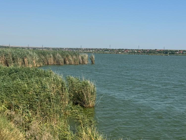 Teren agricol extravilan de 5000 mp, în Corbu