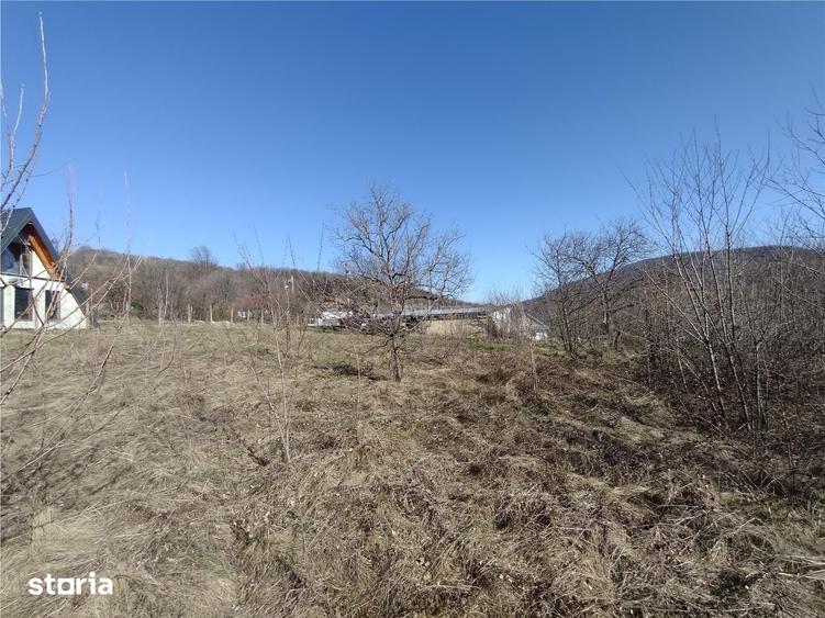 Teren de 2500 mp, în Central
