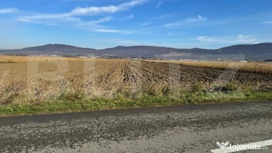 Teren de 5300 mp, în Arcalia