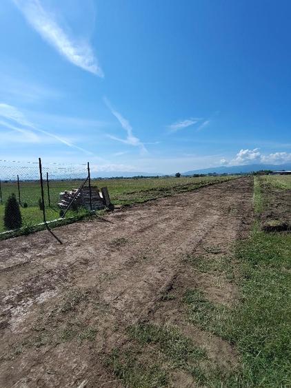 Teren agricol extravilan de 515 mp, în Turnișor
