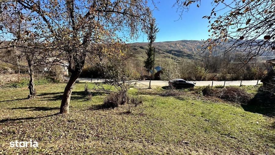 Teren de 4044 mp, în Vișinești