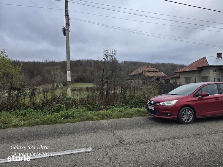 Teren de 5000 mp, în Merișani