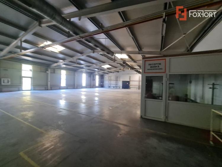 Spațiu industrial, de 13,236 mp, în Deta