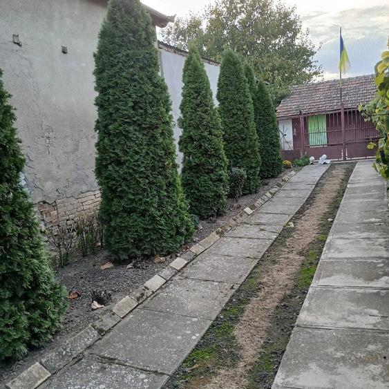 Casă cu 3 camere cu Teren 1095 Mp în Central