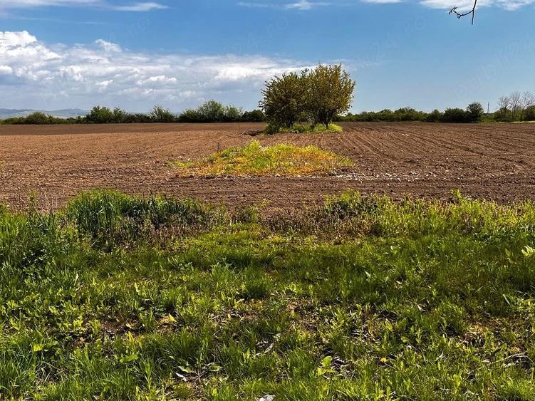 Teren de 1700 mp, în Berceni