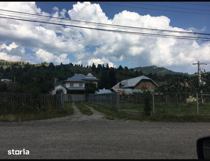 Teren de 10000 mp, în Sadova