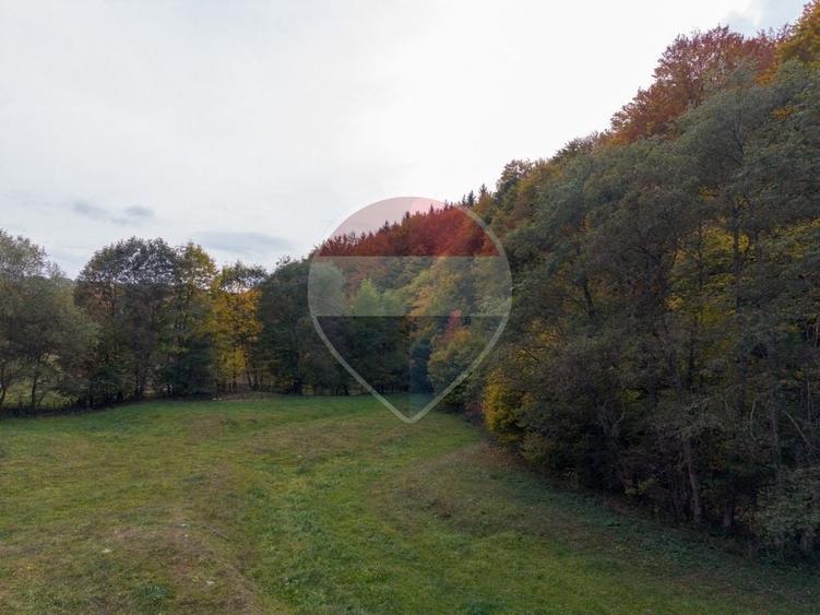 Teren agricol extravilan de 9540 mp, în Teliu