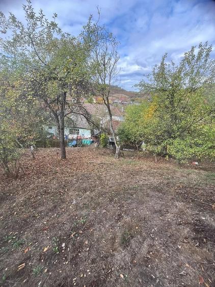Casă cu 2 camere cu Teren 701 Mp în Dobrești