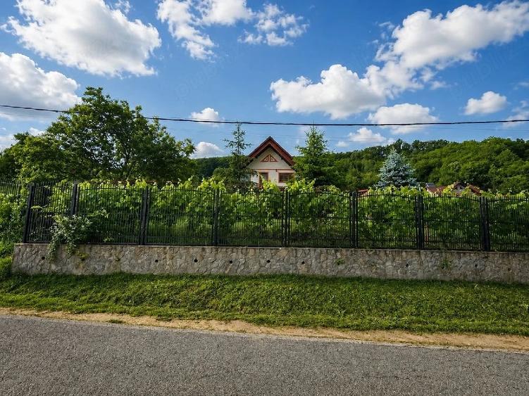 Casă cu Teren 1800 Mp în Enculești