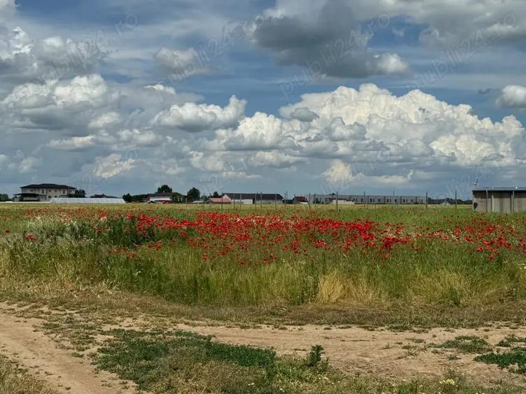 Teren de 4000 mp, în Bălăceanca