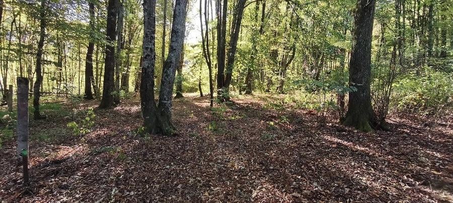 Teren de 1000 mp, în Fârdea