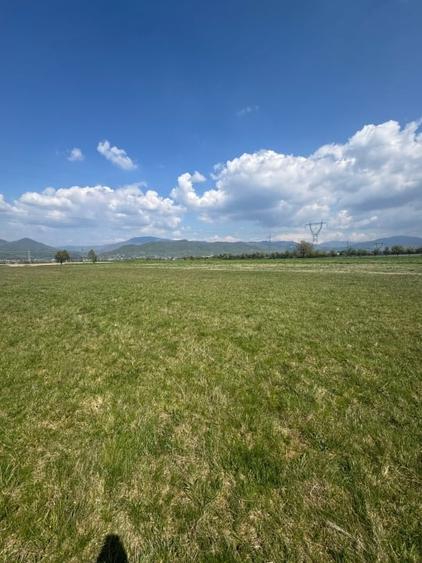 Teren Construcții extravilan de 650 mp, în Sud-Est
