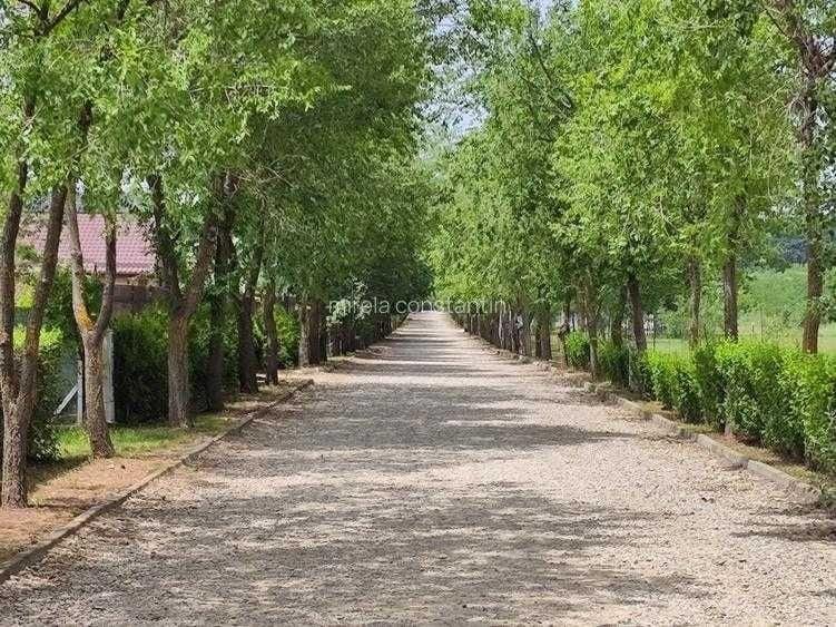 Spațiu comercial, în Afumați