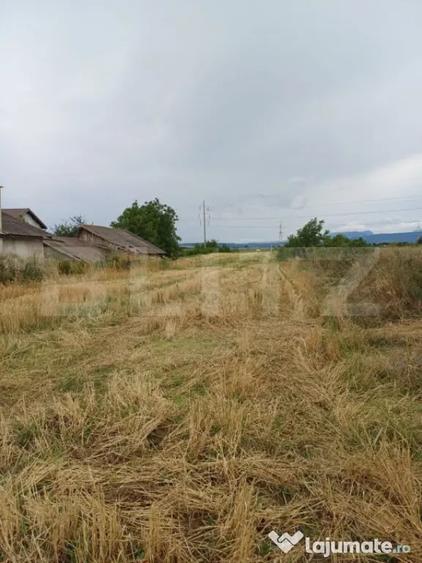Teren de 6000 mp, în Turda