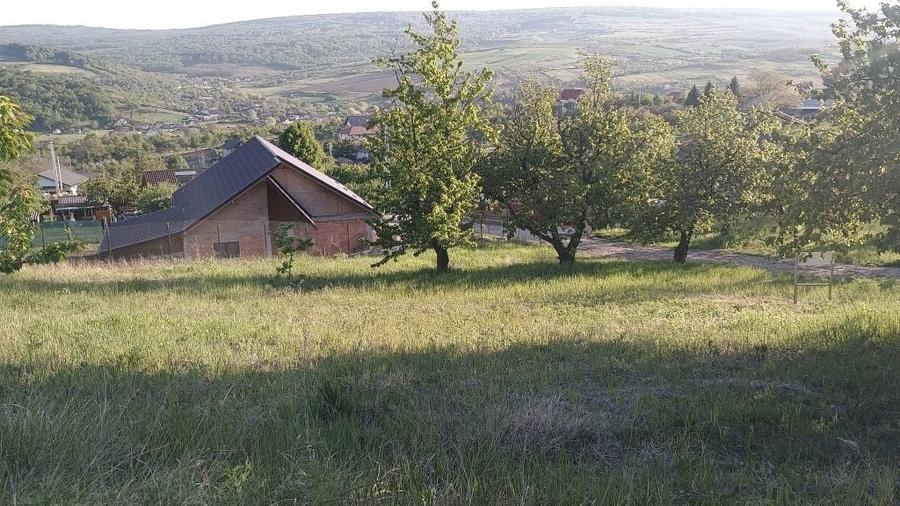 Teren de 1420 mp, în Chicerea